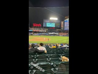 another stadium, another flash the hottest girls porn sex blowjob tits ass young fingering pussy